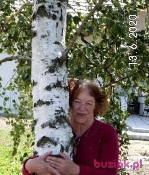 Zofia, Female, 75, Człuchów, Polska, Photo: 3