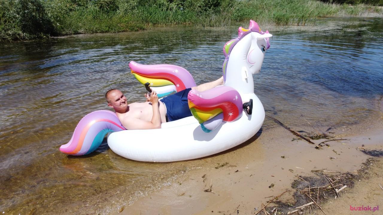 Michał, Mężczyzna, 37, Zgierz, Polska, Zdjęcie: 395