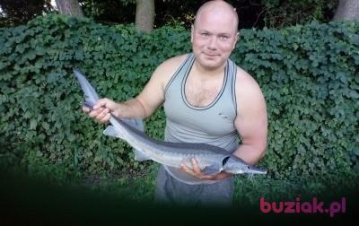 Dawid, Male, 34, Grabów nad Prosną, Polska, Photo: 2