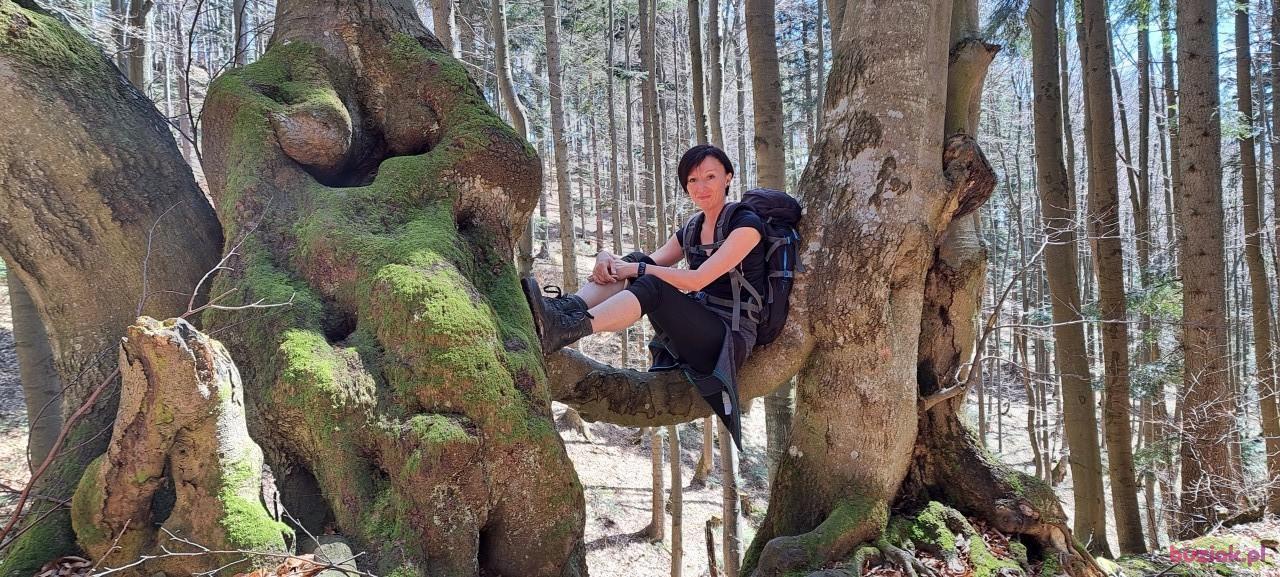 Kat, Female, 46, Wodzisław Śląski, Polska, Photo: 2