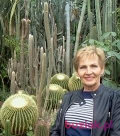 Zofia, Kobieta, 76, Lublin, Polska, Zdjęcie: 2