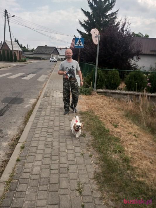 JACEK, Male, 53, Wrocław, Polska, Photo: 5