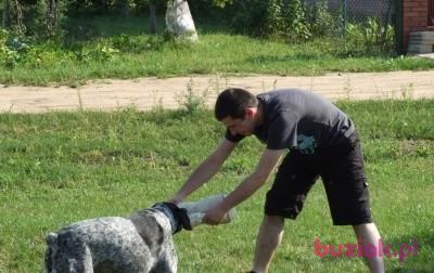 Łukasz, Male, 42, Katowice, Polska, Photo: 2