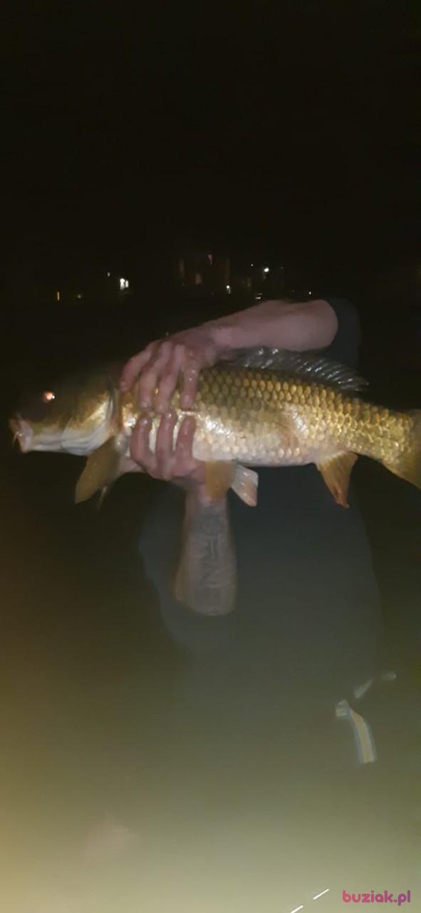 Sebastian, Male, 37, Rotterdam, Holandia, Photo: 2
