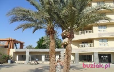 Meerry, Female, 40, Wielka Brytania, Photo: 1