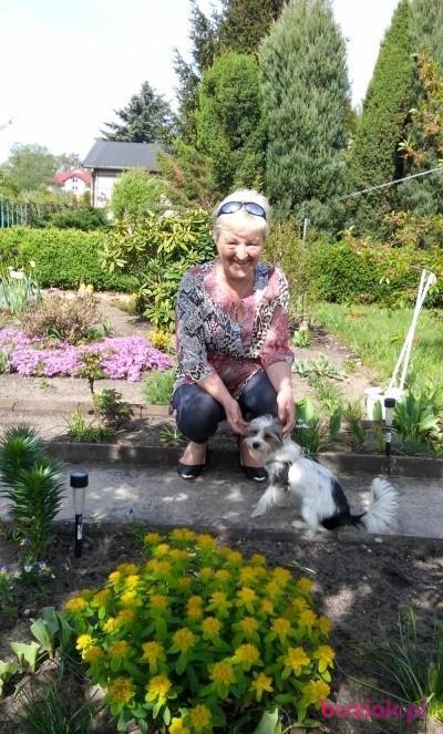 Ula, Female, 69, Międzyrzec Podlaski, Polska, Photo: 3