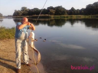 Andrzej, Mężczyzna, 68, Wrocław, Polska, Zdjęcie: 8