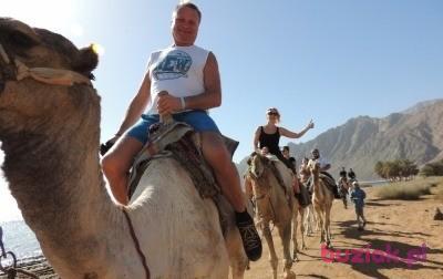 Bogdan, Male, 61, Austria, Photo: 8