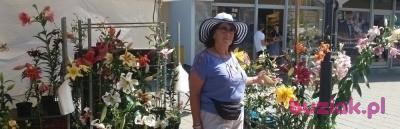Janina, Kobieta, 76, Warszawa, Polska, Zdjęcie: 2