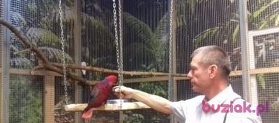 Darek, Mężczyzna, 61, Łódź, Polska, Zdjęcie: 5