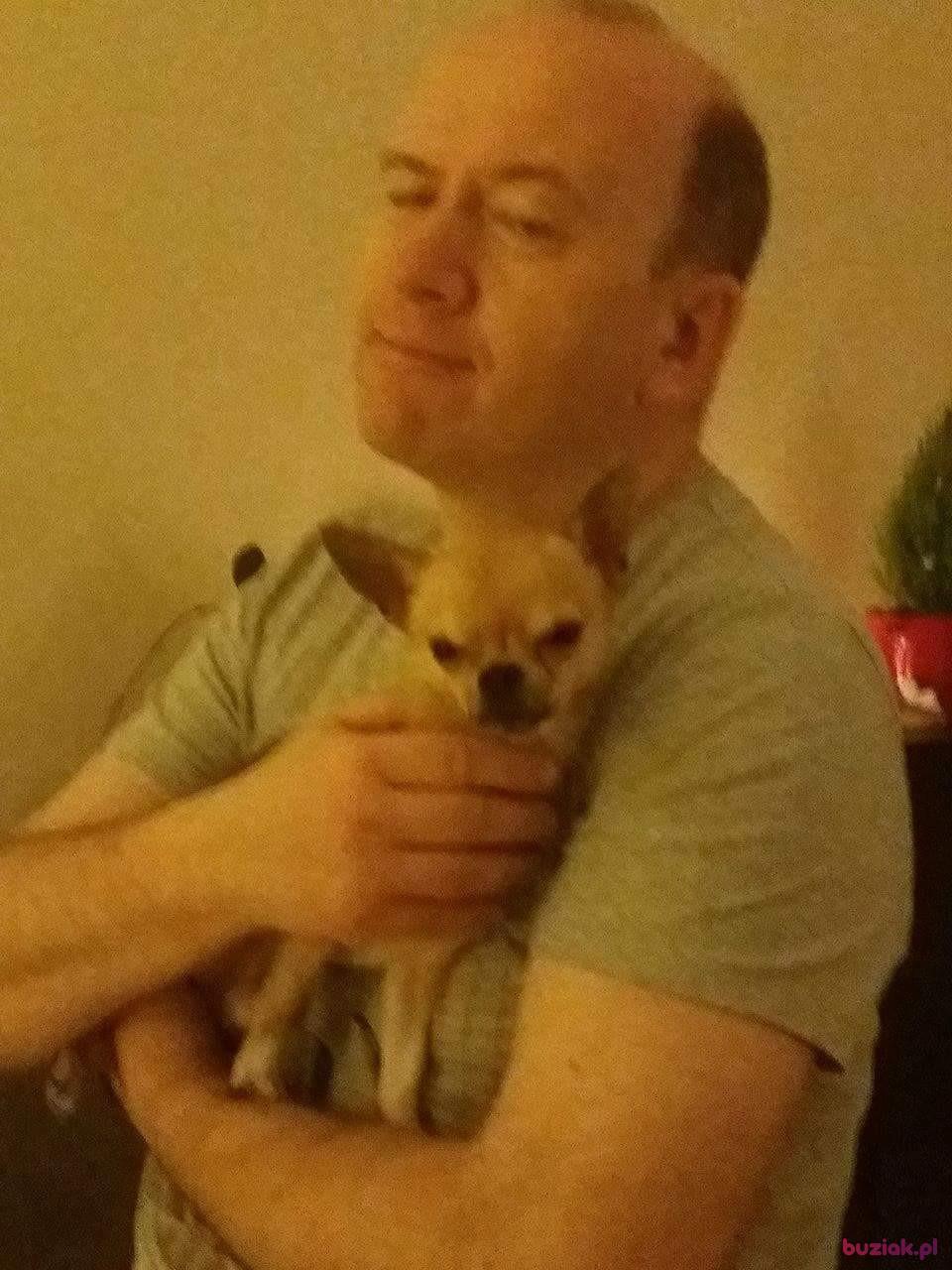 Romek, Mężczyzna, 61, Gdańsk, Polska, Zdjęcie: 2