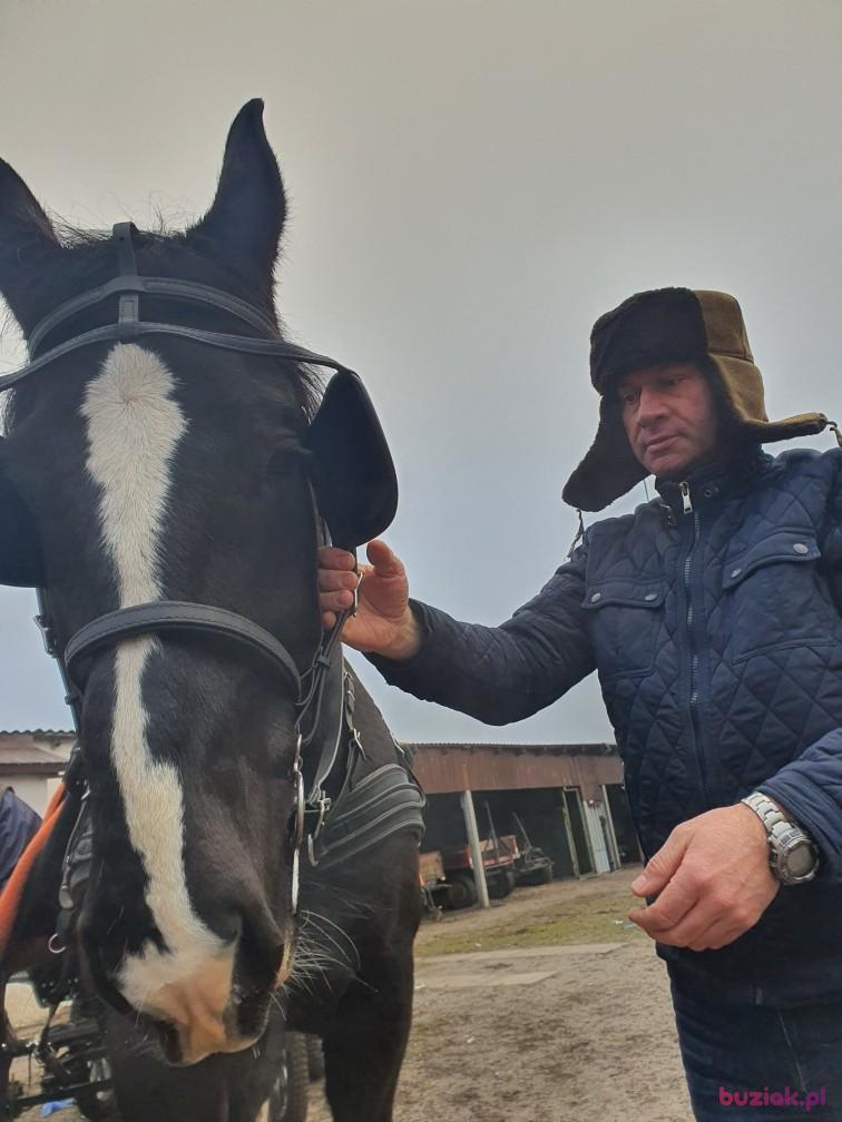 Przemysław, Male, 52, Bełchatów, Polska, Photo: 4