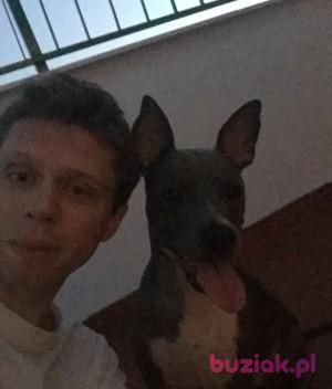 Sebastian , Male, 40, Hiszpania, Photo: 2