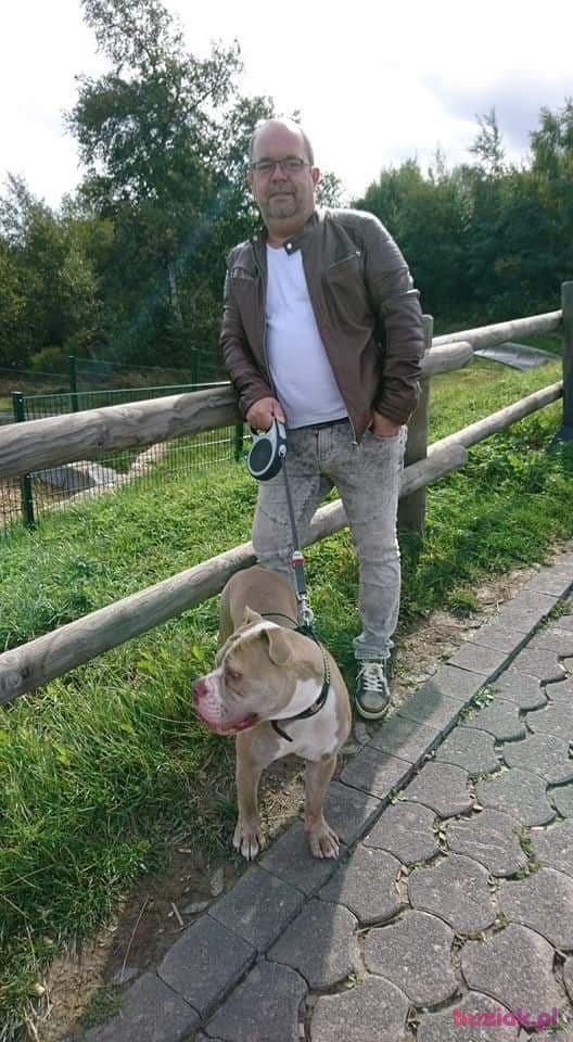 Jozek, Mężczyzna, 61, Dortmund, Niemcy, Zdjęcie: 4