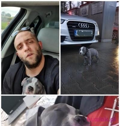 Nikolas, Male, 34, Lubań, Polska, Photo: 2
