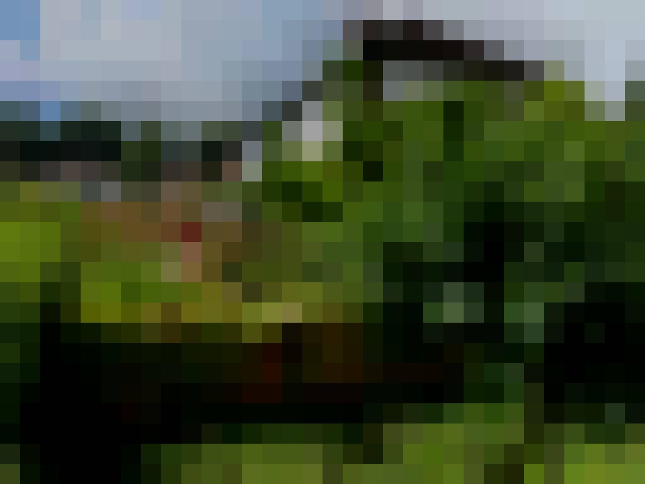 Mac, Male, 51, Westminster, Wielka Brytania, Photo: 8