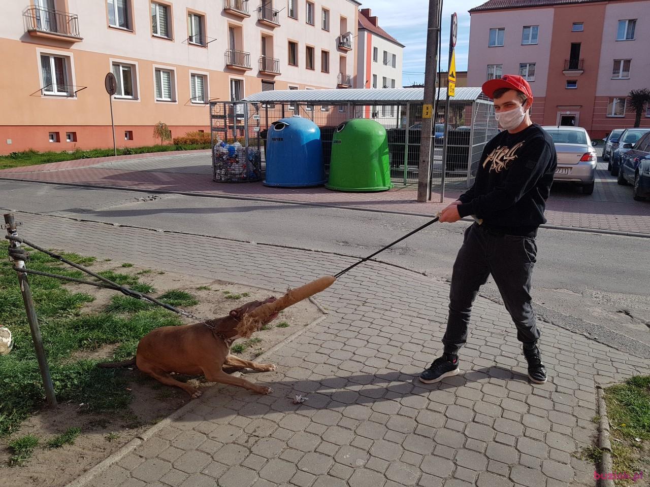 Mat, Mężczyzna, 37, Stuttgart, Niemcy, Zdjęcie: 2