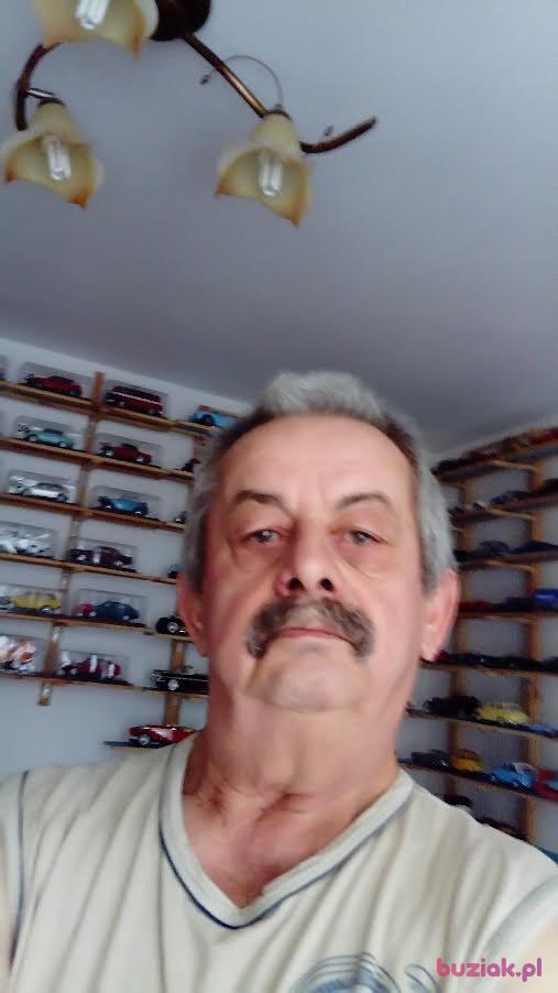 Krzys, Male, 71, Puławy, Polska, Photo: 1