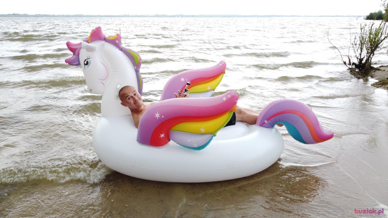 Michał, Mężczyzna, 37, Zgierz, Polska, Zdjęcie: 515