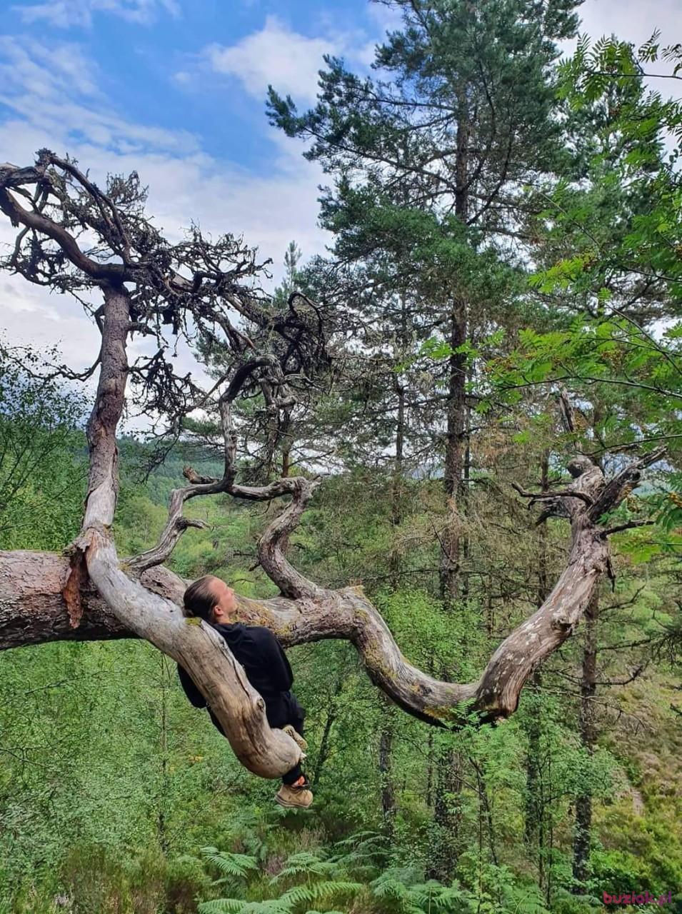 Oskar, Male, 36, Ashford, Wielka Brytania, Photo: 3