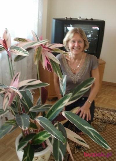 kobieta58, Female, 68, Suwałki, Polska, Photo: 2