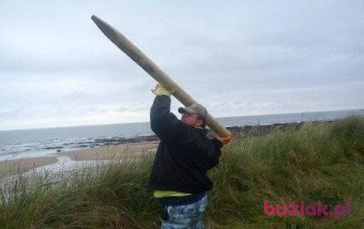 wolwerin00, Male, 40, Dundee, Wielka Brytania, Photo: 3