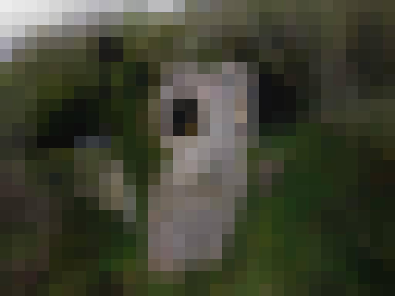 Rob, Male, 40, Wielka Brytania, Photo: 8