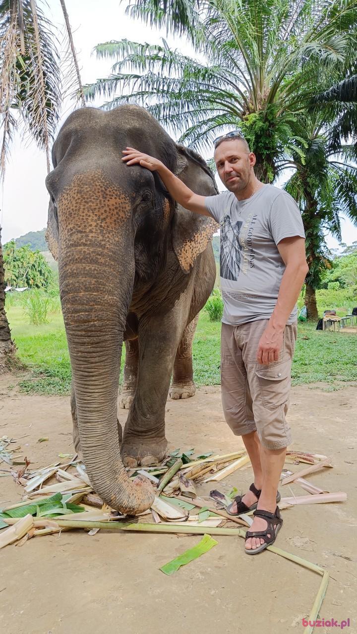 Tom, Male, 45, Yeovil, Wielka Brytania, Photo: 2