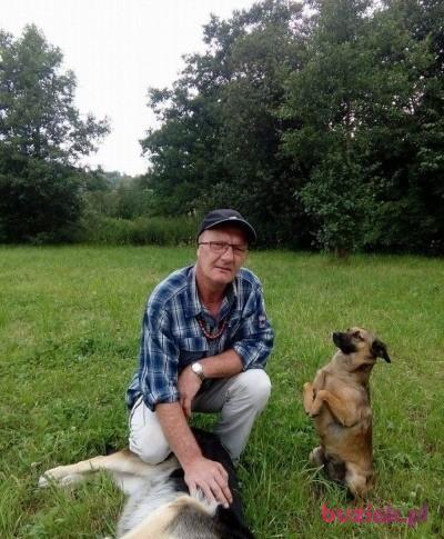 Robert, Mężczyzna, 60, Kudowa Zdrój, Polska, Zdjęcie: 3