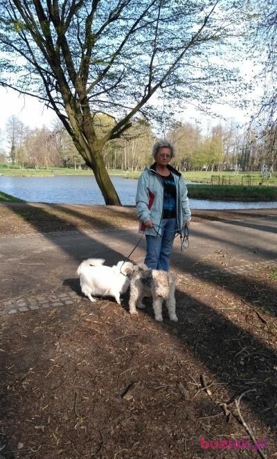 Halina, Female, 65, Brzeg Dolny, Polska, Photo: 3