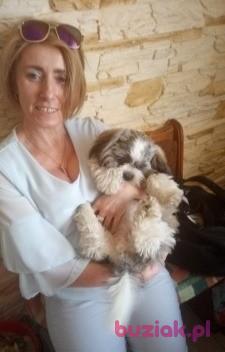 elżbieta, Kobieta, 55, Krzeszowice, Polska, Zdjęcie: 3