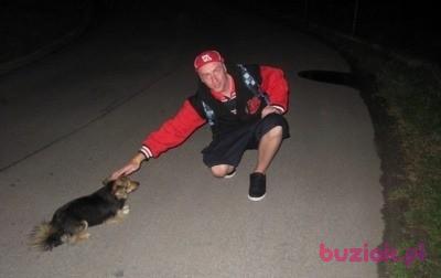 Dominik, Male, 43, Camberley, Wielka Brytania, Photo: 4