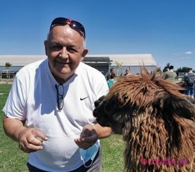 Wojtek, Male, 72, Wrocław, Polska, Photo: 2