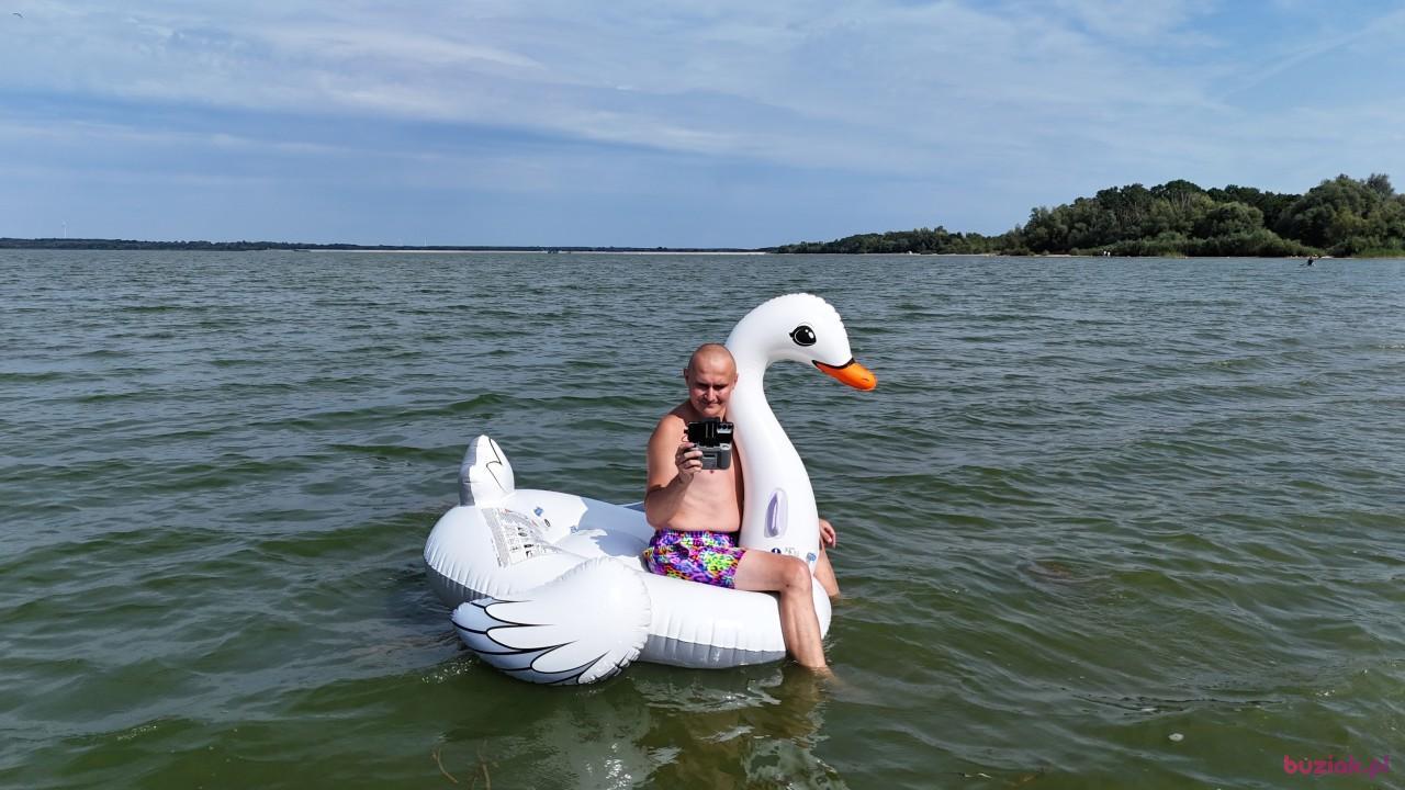 Michał, Mężczyzna, 37, Zgierz, Polska, Zdjęcie: 768