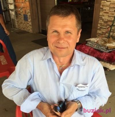 Mirek, Male, 54, Szprotawa, Polska, Photo: 1