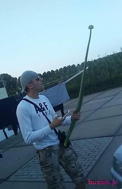 Wojtek, Mężczyzna, 40, Holandia, Zdjęcie: 3