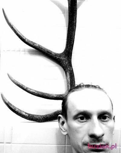 Adam, Mężczyzna, 42, Katowice, Polska, Zdjęcie: 4