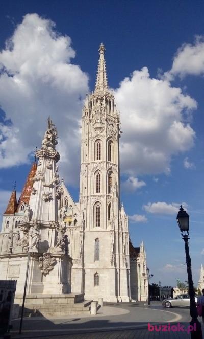 Damian, Male, 51, Strzyżów, Polska, Photo: 3