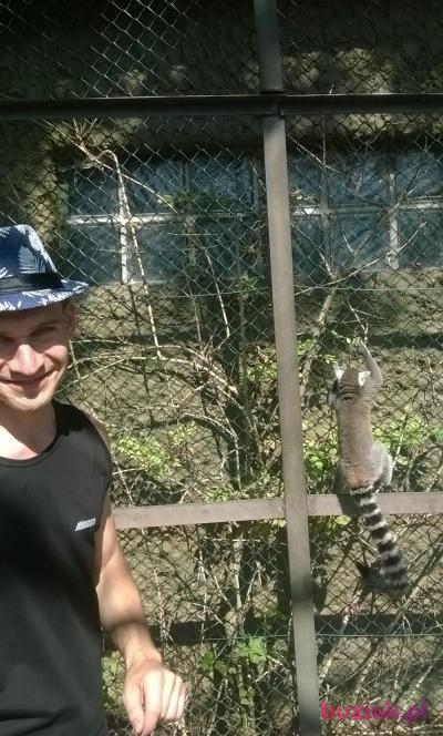 /zapytaj/, Male, 38, Gostyń, Polska, Photo: 2