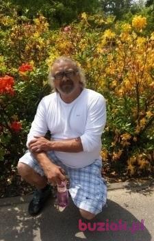 Martin, Male, 51, Brwinów, Polska, Photo: 2
