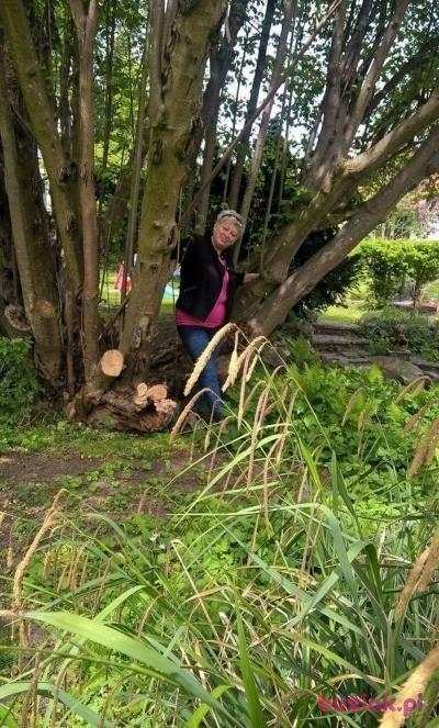 Elzbieta, Kobieta, 66, Bystrzyca Kłodzka, Polska, Zdjęcie: 4