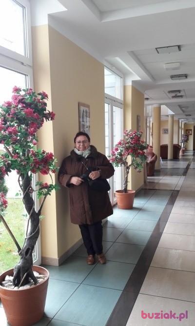 Lucyna, Kobieta, 72, Wrocław, Polska, Zdjęcie: 13