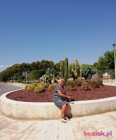 Zofia, Female, 71, Buk, Polska, Photo: 6