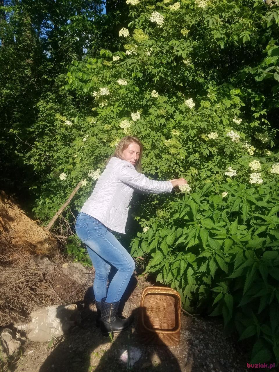 sylwia, Female, 44, Bytom, Polska, Photo: 3