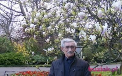 torus39, Male, 87, Wodzisław Śląski, Polska, Photo: 3