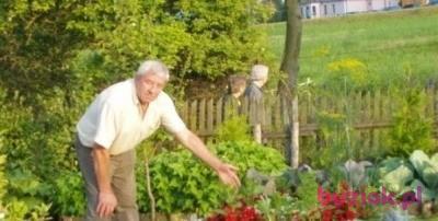 RYSZARD, Male, 87, Włocławek, Polska, Photo: 7