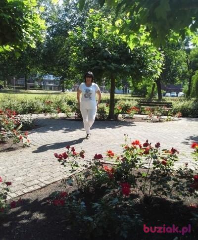 ewa, Female, 67, Oss, Holandia, Photo: 4