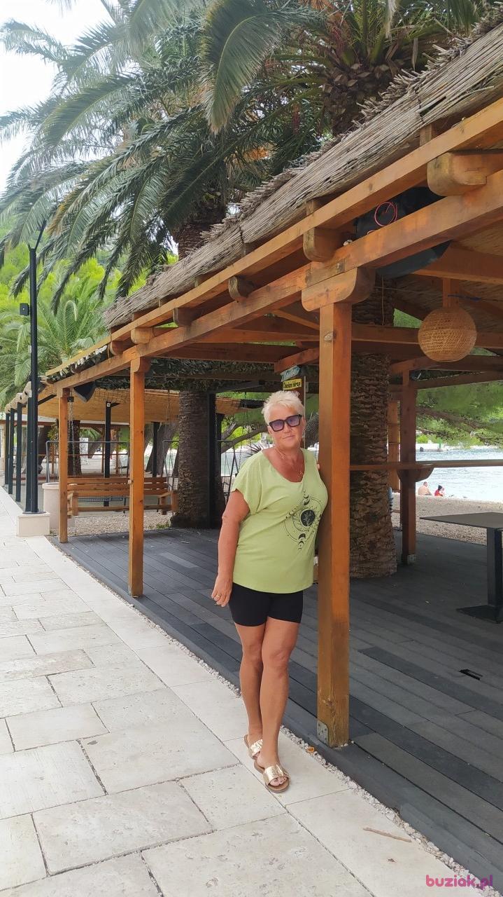 Halina, Kobieta, 68, Jaworzno, Polska, Zdjęcie: 31