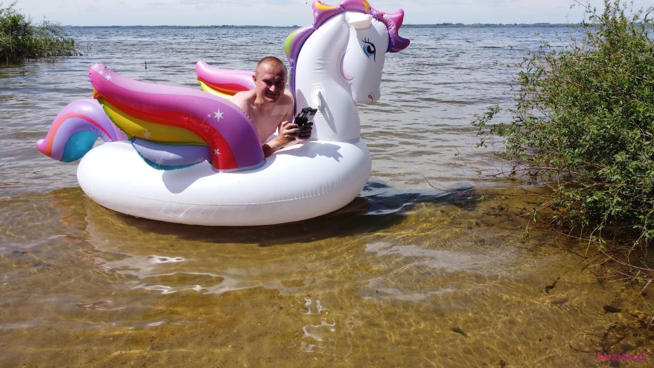 Michał, Mężczyzna, 37, Zgierz, Polska, Zdjęcie: 388