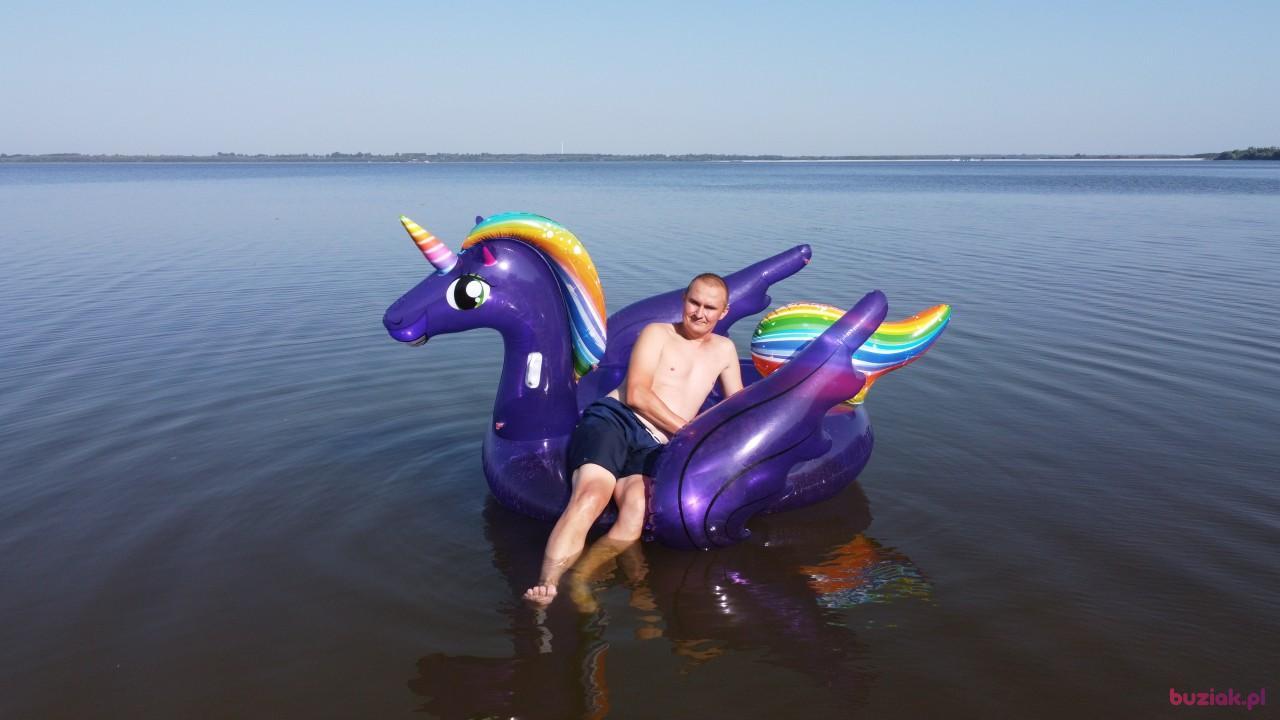 Michał, Mężczyzna, 37, Zgierz, Polska, Zdjęcie: 613